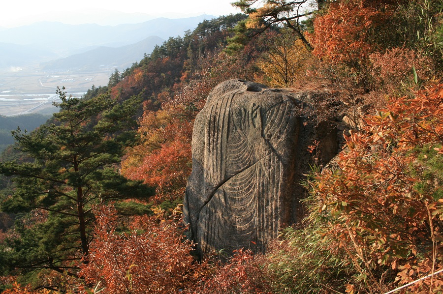 전문안내인신청